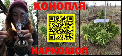 гашик Аша