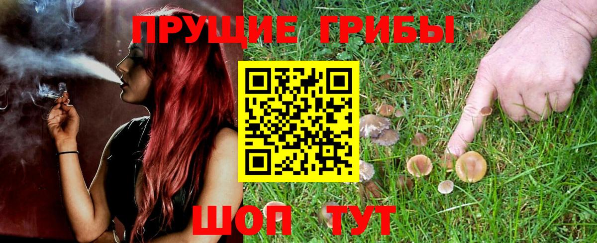 Губаха  Псилоцибиновые грибы MAGIC MUSHROOMS  Вход с VPN 